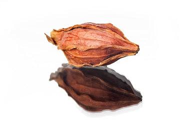 好消息！《寂静岭f》不存在虚幻5常见的卡顿问题