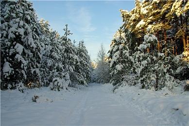 科隆未来游戏展：像素冒险游戏《黄金像谋杀案》预告